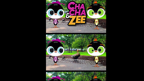 Searching for Mommy Duck Exploring Boston Hidden Secret, Discovering Boston Wildlife with Mommy Duck