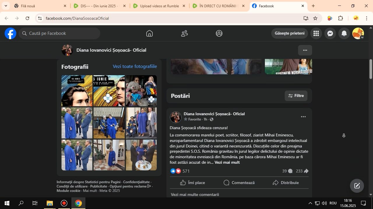 DIS--- - 15 iunie 2025 - Vizualizarea paginii