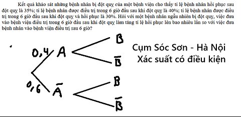 Cụm Sóc Sơn (Hà Nội): Kết quả khảo sát những bệnh nhân bị đột quỵ của một bệnh viện cho thấy tỉ lệ