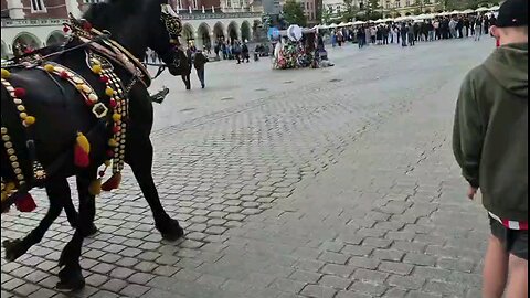 Kraków Poland Horse Drawn Carriage