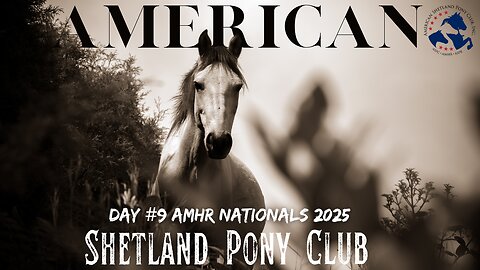 AMHR Nationals 2025 (Day #9) Ford Arena 9/12/2025