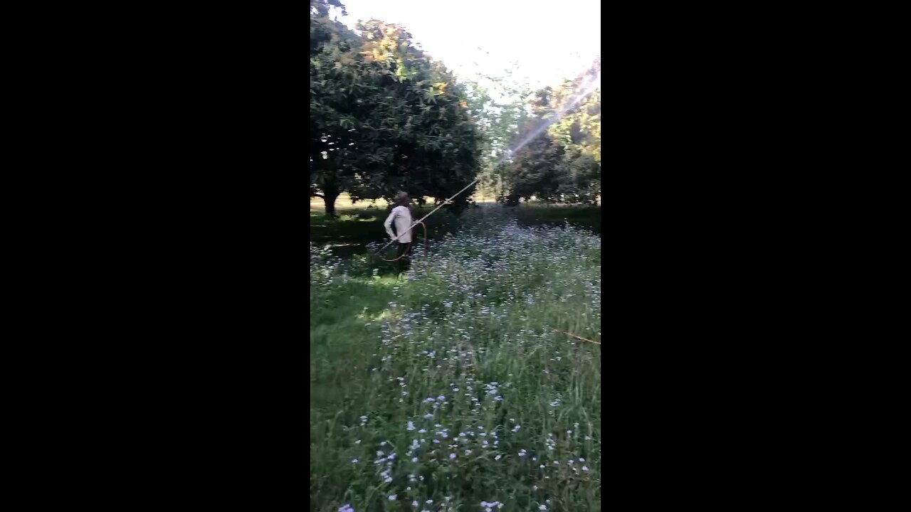 spray