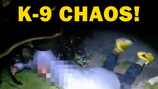 K-9 Igo Catches Bad Guy Hiding Underneath House During Wild Search! LEO Round Table S10E109