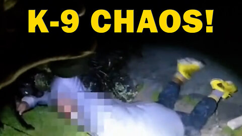 K-9 Igo Catches Bad Guy Hiding Underneath House During Wild Search! LEO Round Table S10E109