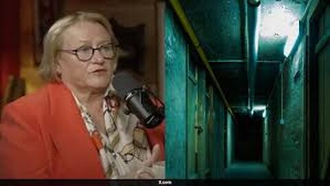 Catherine Fitts ICE is not rounding up the hardened criminals