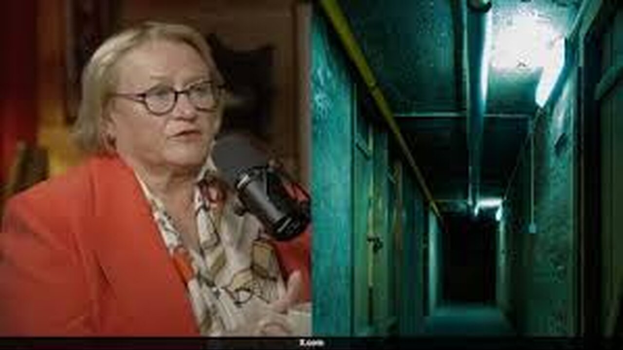 Catherine Fitts ICE is not rounding up the hardened criminals