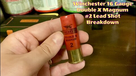 Winchester Double X Magnum 16 Gauge #2 Lead Shot - Breakdown