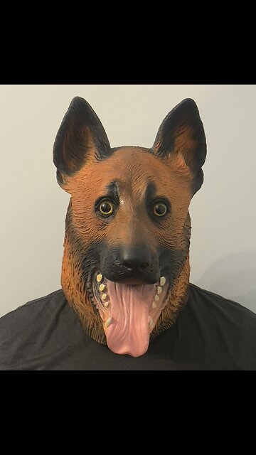 When you’re just trying to chill…and chaos happen