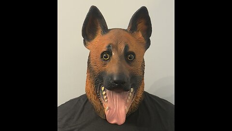 When you’re just trying to chill…and chaos happen