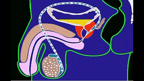 Odd “Kegeru Taiso” Prostate Ritual Boost Urine Flow By 70%