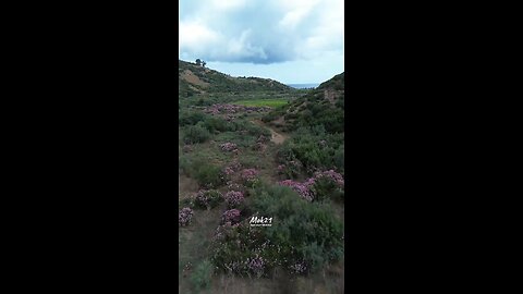 واد بيبي سكيكدة الجزائر SKIKDA ALGERIA