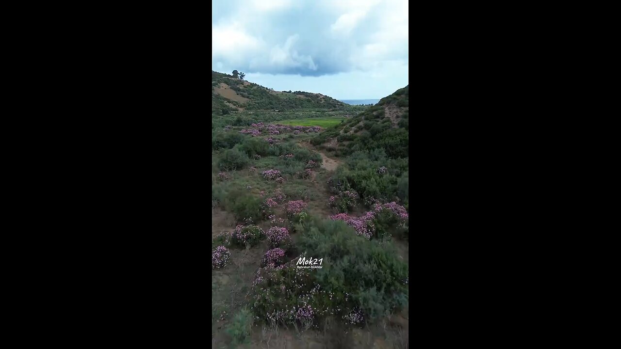 واد بيبي سكيكدة الجزائر SKIKDA ALGERIA