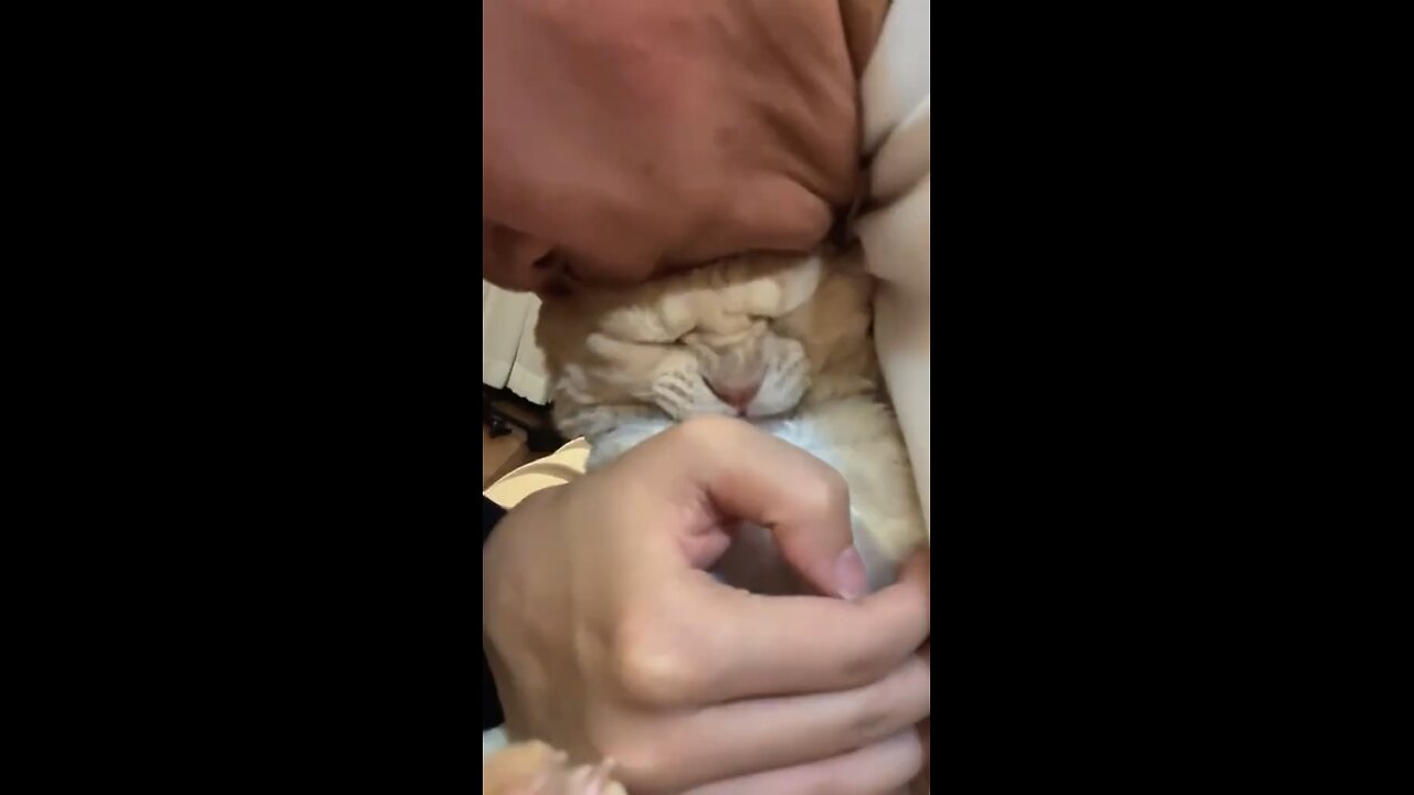 Funny animals ☺️🥹
