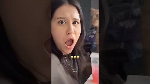 Funny Animals #funnyanimals #animals #pets #shorts