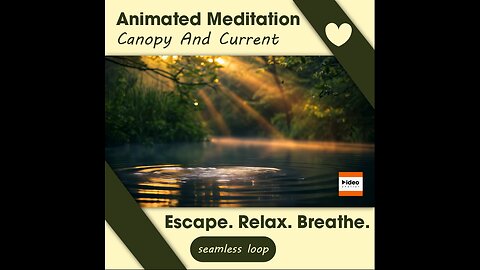 🍃Canopy and Current • Therapeutic Meditation Relaxation & Stress-Relief • Low Stim • 4K Ambient Calm