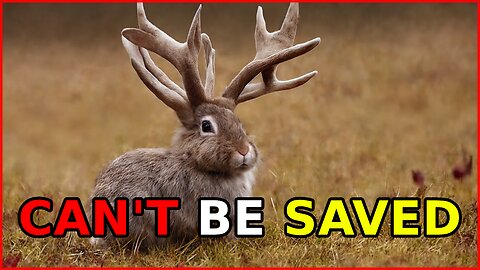 ABUNDANT SPARE TIME EDITION - LIFE STUFF, HEMP BAN, GREAT AMERICAN ROADTRIP 2, TRUMP