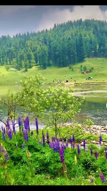 The Land of virgin Meadows and Wild Flowers