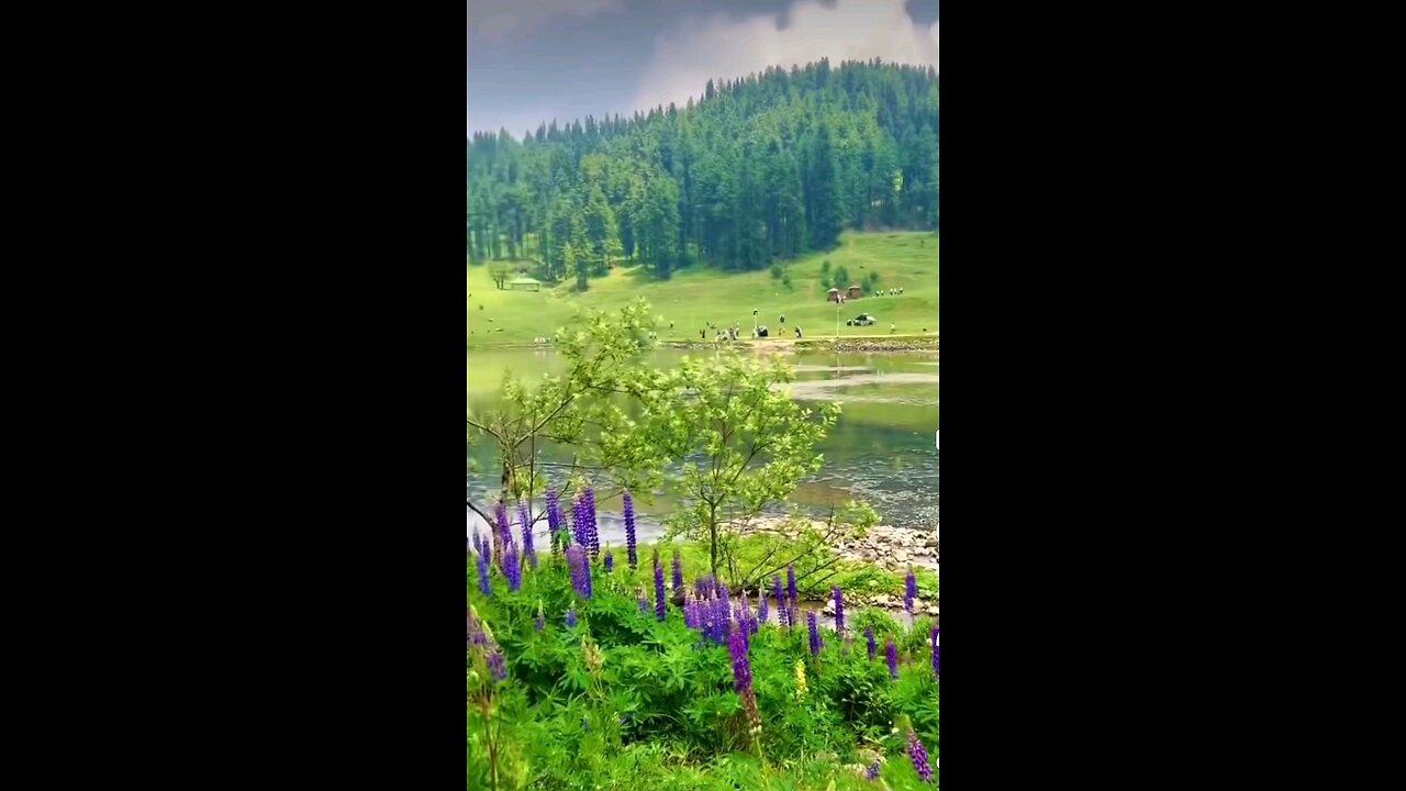 The Land of virgin Meadows and Wild Flowers