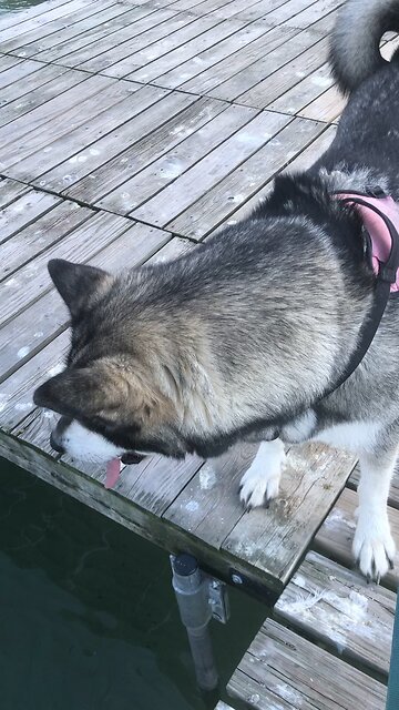 Sunday September 14, I said “Lord I’ll go! Send me.