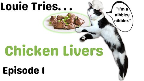Cat ASMR Eating Close Up | Tuxedo Cat Eats Chicken Livers for First Time
