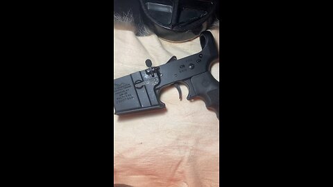 Part 2 of the beaver build