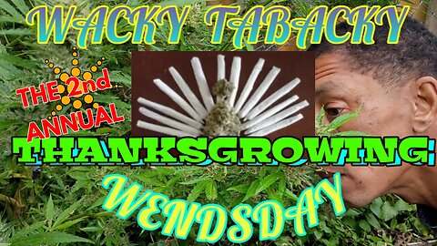 Happy ThanksGrowing 2: Electric Bugaloo