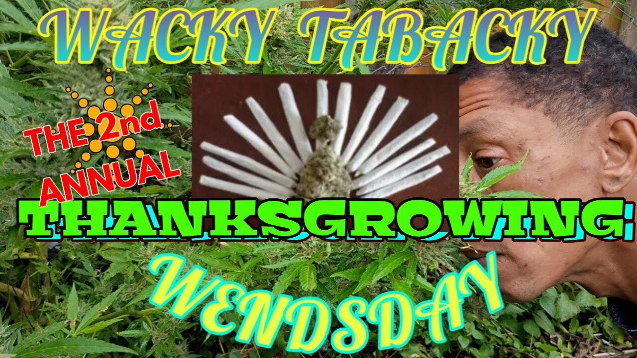 Happy ThanksGrowing 2: Electric Bugaloo