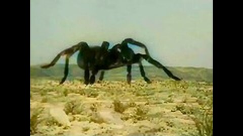 Tarantula (1955) (colorized)(Archive)