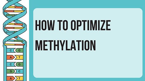 how to optimize methylation