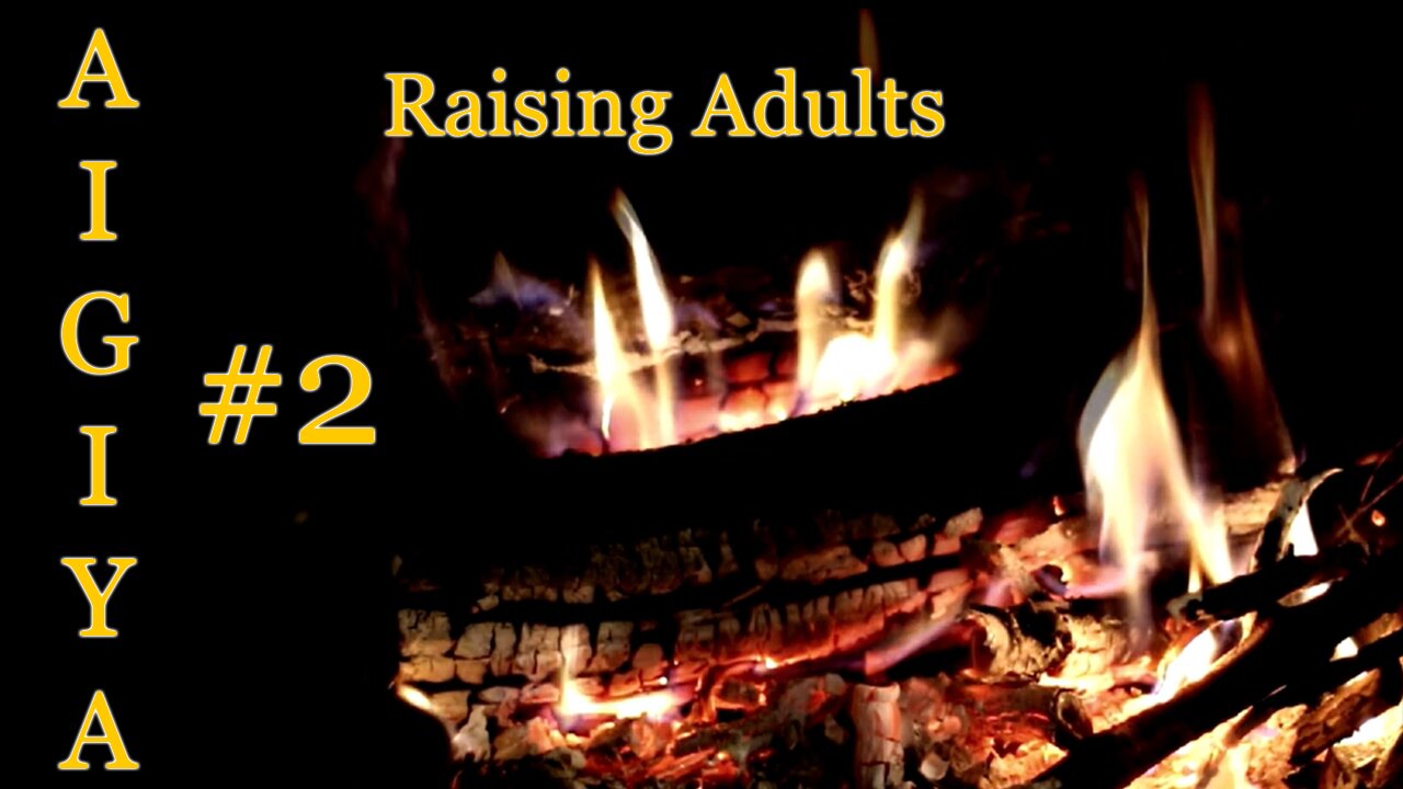 A.I.G.I.Y.A #2 - Raising Adults