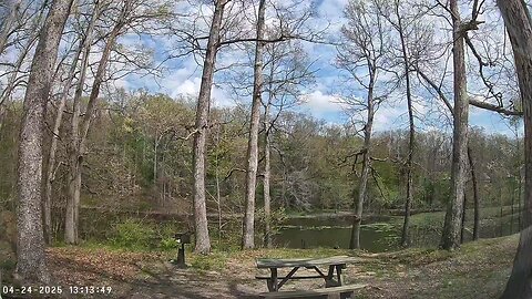 Sit in the woods & relax