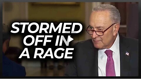 Reporter Makes Chuck Schumer Look Dumb w/ This Simple Question