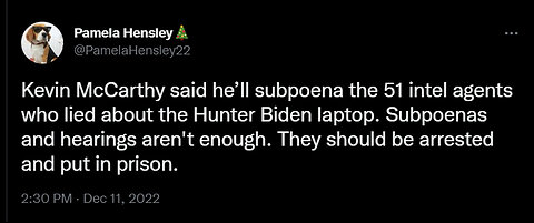 pardoned by democrat zombie joe biden unrecognizable hunter biden denies he's "acting chief of staff