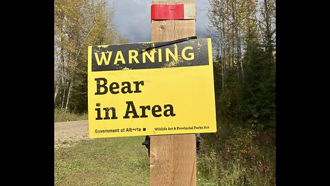 At last we saw bears!! Yukon - Ice 2 Fire Episode 11