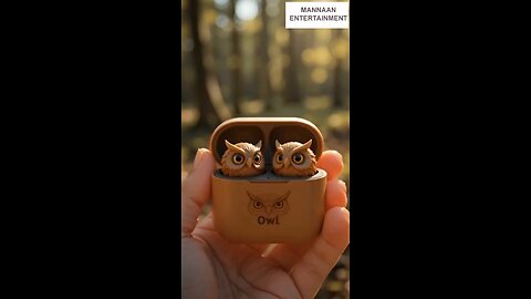 You’ve NEVER Seen Earbuds Like This! Meet the Owl Buds Taking Over the Internet! ‎