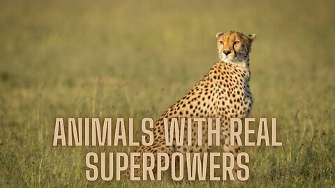 Animals with REAL Superpowers That Will BLOW Your Mind! | AMZG Animals