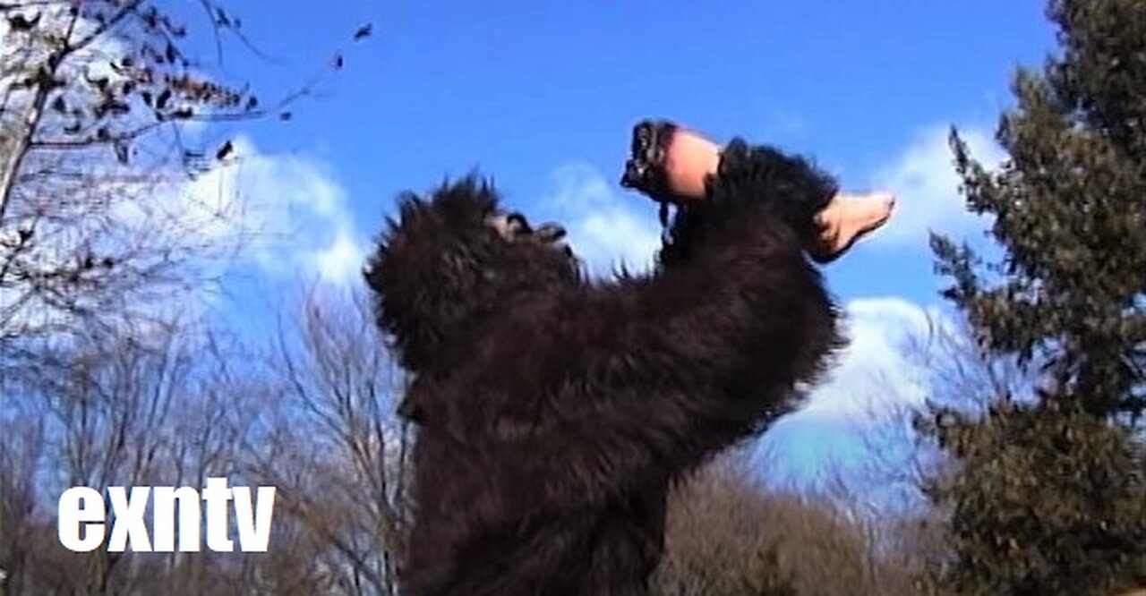 Burbfoot The Slacksquatch: The EXNTV Sunday Movie