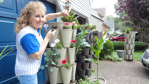 Summer Gardening Project Growing A Green Thumb