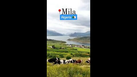 ميلة الجزائر ALGERIA MILA