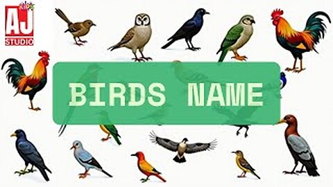 Birds name for kids😊