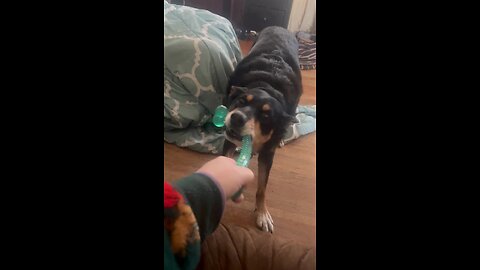 Coming online, give you guys an update