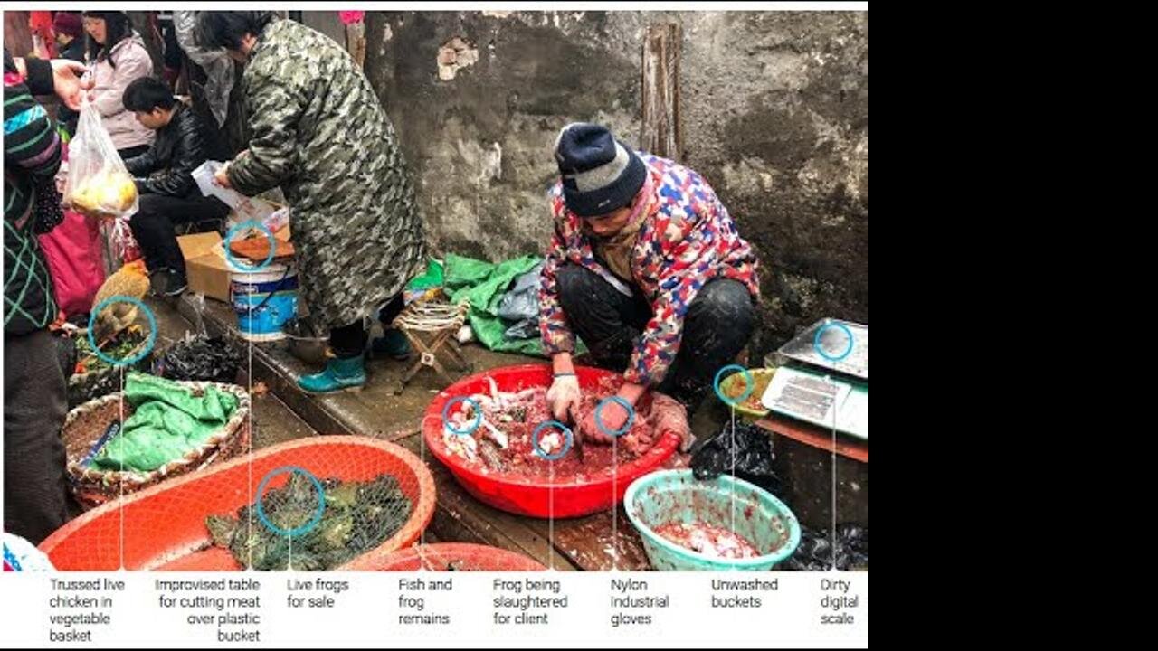 [Mar 31, 2020] SPECIAL REPORT: Humanity is NOT a virus! [Andrew Kaufman]
