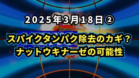 ◆ スパイクタンパク除去のカギ？ナットウキナーゼの可能性