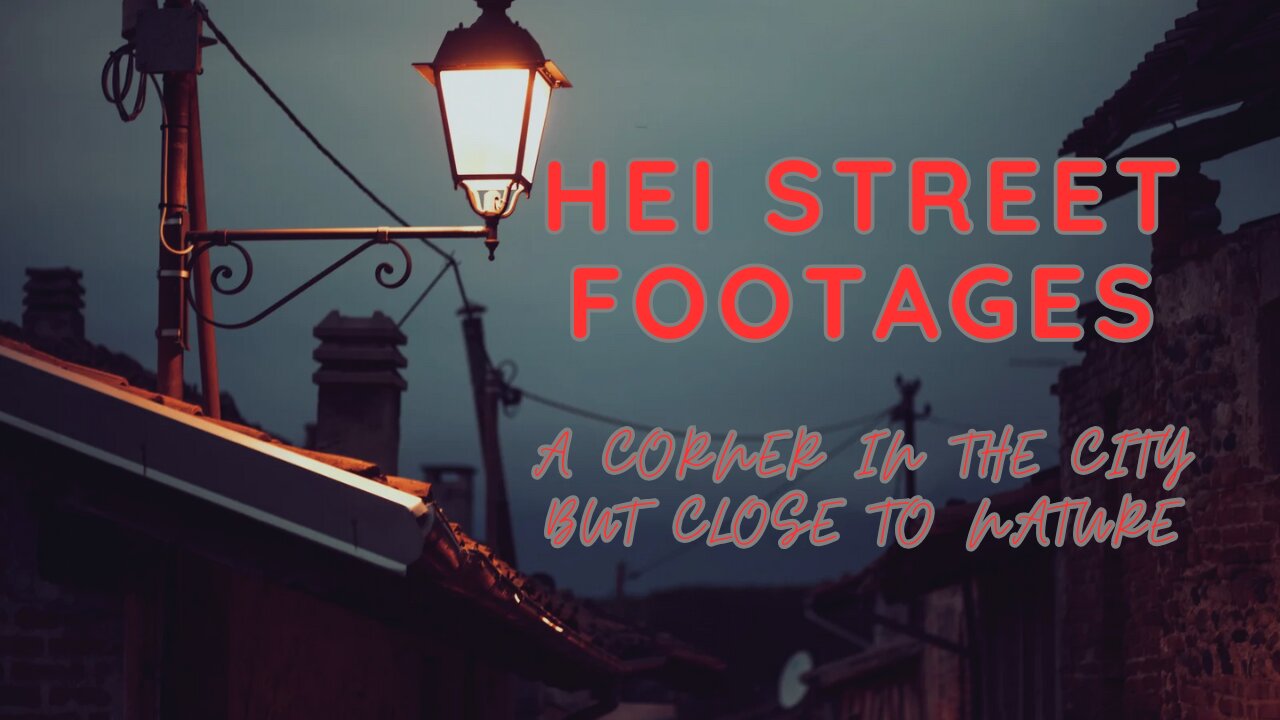 ๐ฟ LIVE: Peaceful Hei Street โ City Vibes with a Rural Feel! ๐กโจ | Relaxing CCTV Footage
