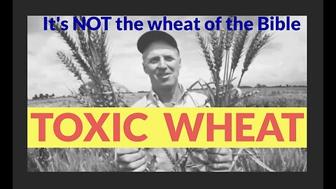 TOXIC wheat? Gliaden Opiate? Schizophrenia link? Appetite stimulant? Dr William Davis