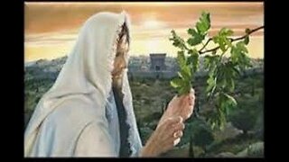 Jesus curses the Figtree - Can a dead tree bring Fruit? And what Generation is he talking about?