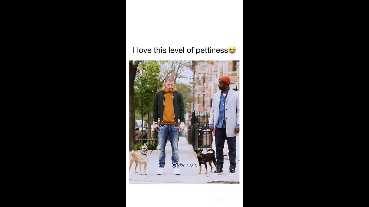 For dog lovers... 😂 😂 😂 (We do not own copyright to this video)