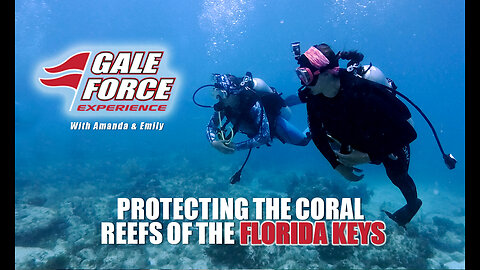 Protecting the Coral Reefs of the Florida Keys