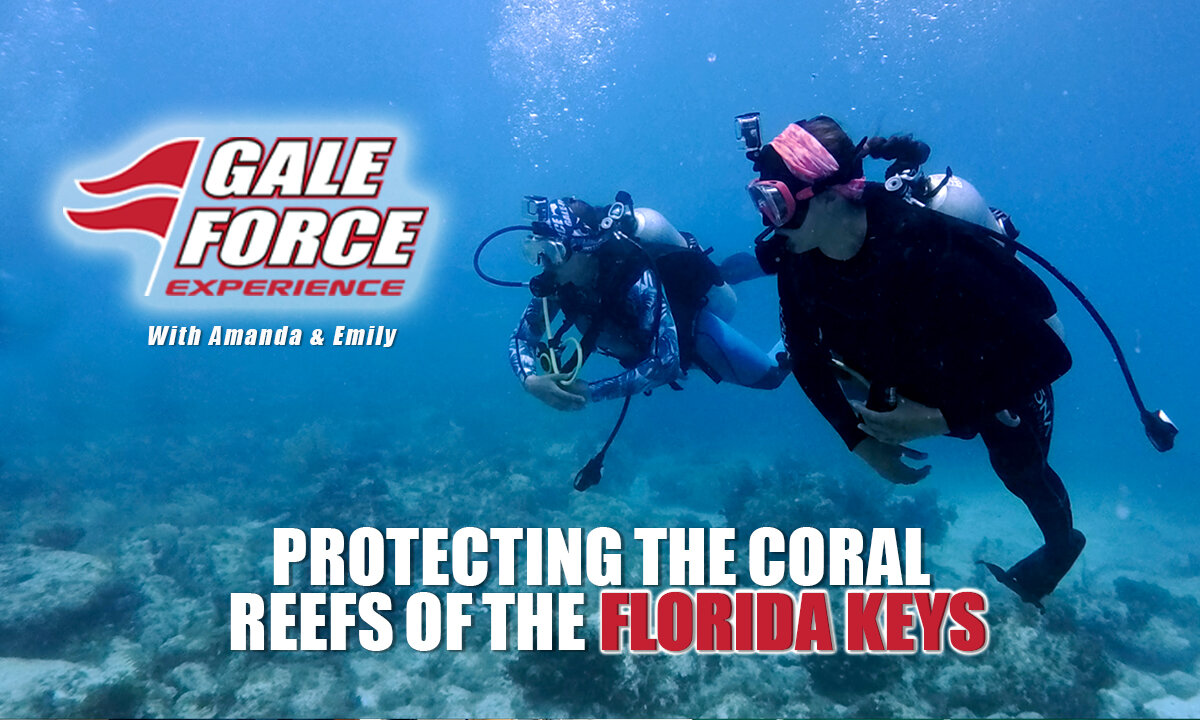 Protecting the Coral Reefs of the Florida Keys