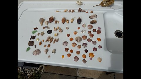 Beach Finds 10/16/2025 | 4K